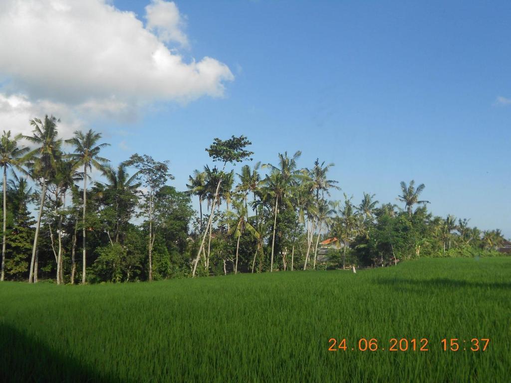 Villa Jasmine B&B Ubud (Bali) Phòng bức ảnh