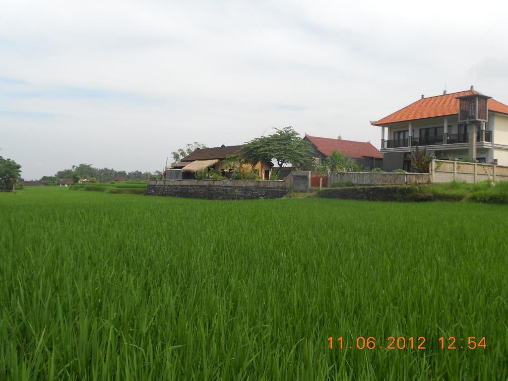Villa Jasmine B&B Ubud (Bali) Ngoại thất bức ảnh